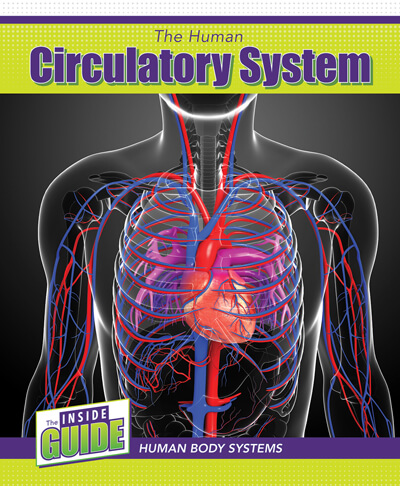 The Inside Guide: Human Body Systems | Rosen Classroom