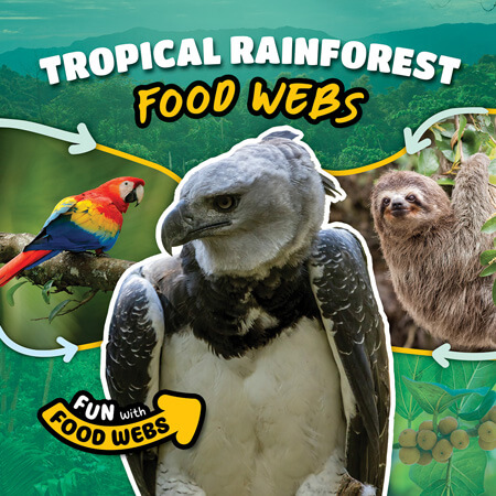 Tropical Rainforest Food Webs Biology Diagrams