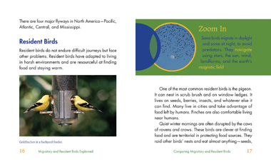 Migratory and Resident Birds Explained | Rosen Classroom