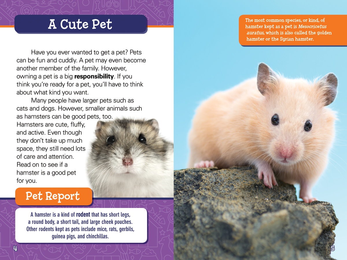Is a Hamster a Good Pet for Me? Rosen Classroom